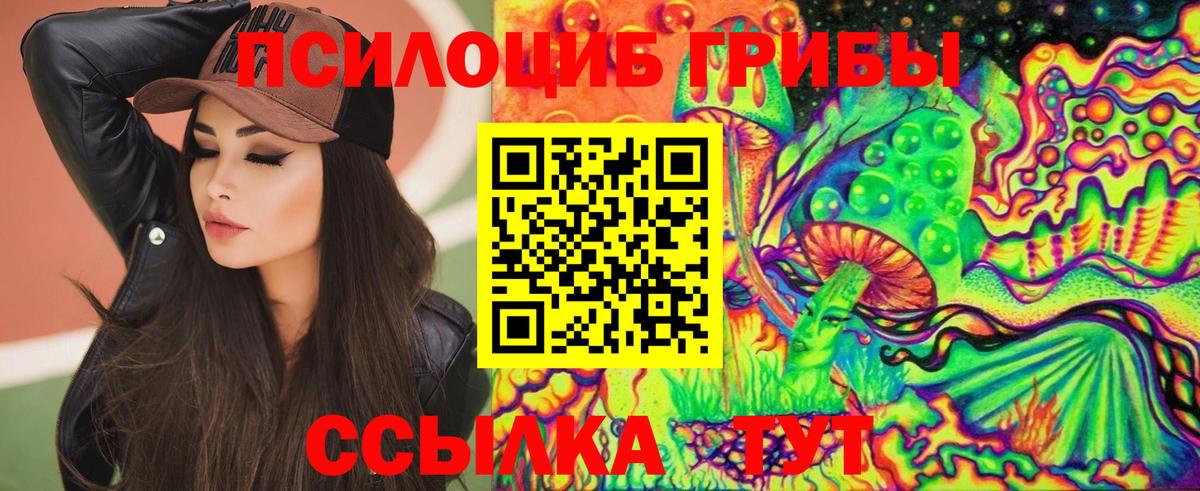 Джанкой  Псилоцибиновые грибы мицелий  купить закладку  Вход с VPN  Псилоцибиновые грибы Psilocybe 
