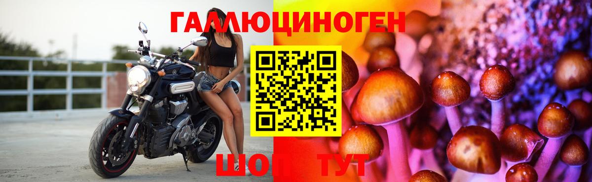 Псилоцибиновые грибы ЛСД Джанкой